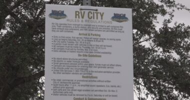 'A family reunion': Fans welcome one another for Florida-Georgia rivalry week in Jacksonville