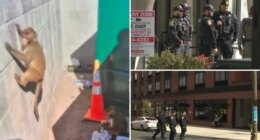 AI-generated monkey hoax had Newark cops going bananas searching for loose primates