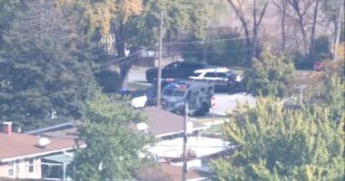 Addison shooting: 1 in custody after shots fired at police, standoff on East La Porte Drive cause shelter-in-place, officials say