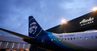 Alaska Airlines resumes operations after 'significant' IT outage grounded its flights for hours