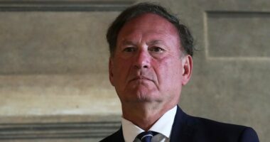 Alito: Originalists must shed ‘insecure mindset’ causing worry over 'desirable' results