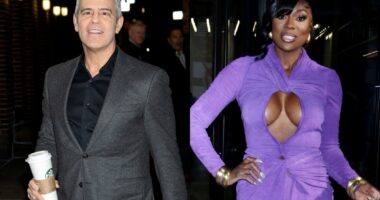 Andy Cohen Breaks Silence on RHOP Star Wendy Osefo’s Arrest: ‘I’m Sad About This’