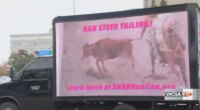 Animal rights group brings TV Truck to Illinois Capitol, urges ban on bovine tailing