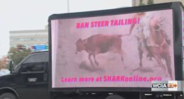 Animal rights group brings TV Truck to Illinois Capitol, urges ban on bovine tailing