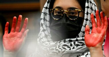 Antisemitic ‘venom’ infecting campuses gets worse as universities play ‘rope-a-dope’ with Trump admin: expert