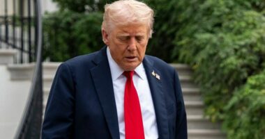 Appeals court rules against Trump in birthright citizenship battle