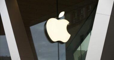 Apple removes ICEBlock from its App Store