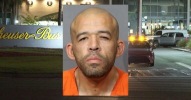 Arrest made in deadly stabbing at Jacksonville Anheuser-Busch facility
