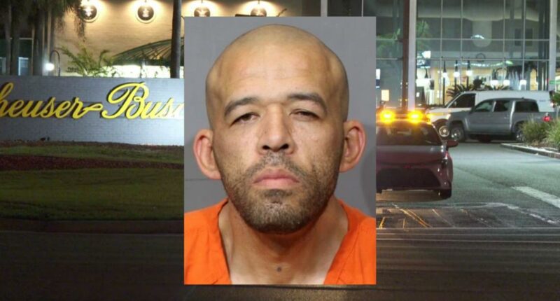 Arrest made in deadly stabbing at Jacksonville Anheuser-Busch facility