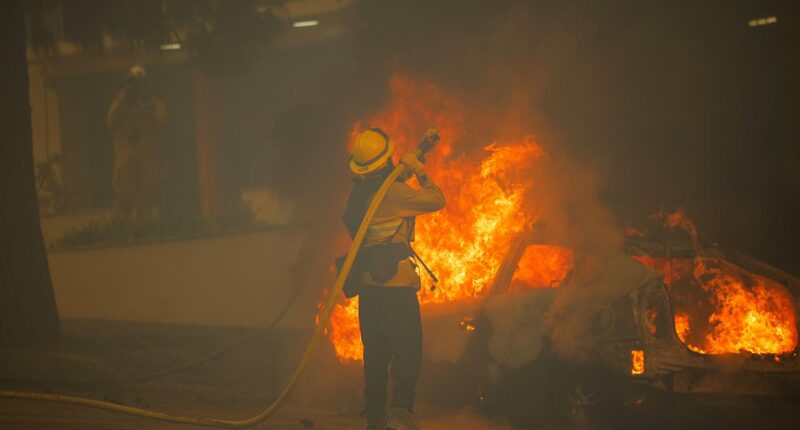 Arson suspect in Palisades Fire that decimated Los Angeles identified
