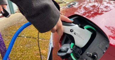 Ashes to ashes: The electric vehicle mandate is well and truly dead
