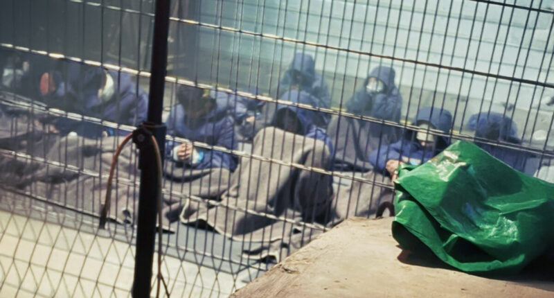 At Least 135 Mutilated Palestinian Bodies Traced to Israeli Prison Accused of Torture