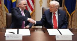 Australia can expect economic bonanza from 'game-changer' rare earths deal, mining boss says