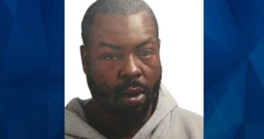 BOLO: Police Seek Tips on Illinois Man Accused of Abducting 4 Children