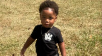 Babysitter Napped as Her 2 Rottweilers Mauled Toddler Boy to Death