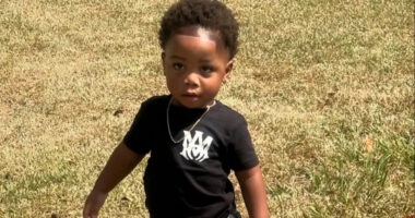 Babysitter Napped as Her 2 Rottweilers Mauled Toddler Boy to Death