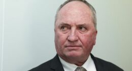 Barnaby Joyce reportedly in 'advance talks' to defect to Pauline Hanson's One Nation