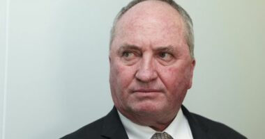Barnaby Joyce reportedly in 'advance talks' to defect to Pauline Hanson's One Nation