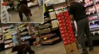 Bear walked into southern Arizona grocery store and ran around for a few minutes