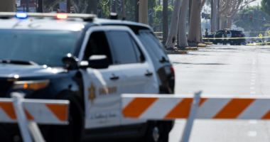 Blue city crime drives Trump DOJ battle with major Democrat-led county on concealed carry rights
