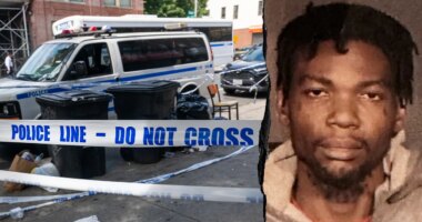 Blue city perp with 50+ arrests accused of pushing stranger onto train tracks in fifth attack that day: report