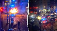 Blue city street takeover suspects torched police cruiser in 'hell-bent' attack on cops: union chief