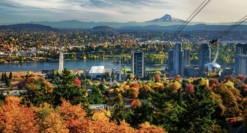 Blue metros on the brink: 1 in 3 homes cut in desperate bid to sell