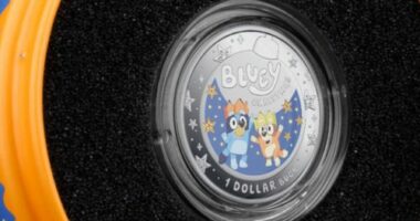 BLUEY COIN BAUBLE