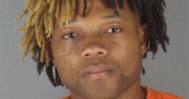 Bogus student, 22, sexually assaulted teens in high school