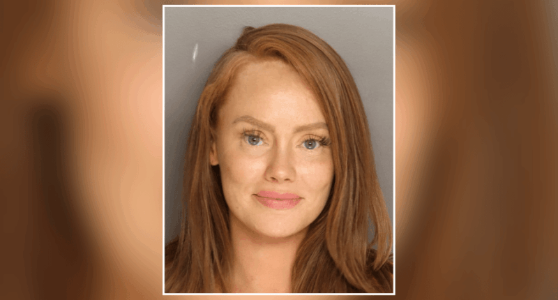 Bravo reality star convicted, sentenced for DUI