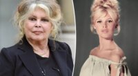 Brigitte Bardot, 91, rushed to hospital with ‘serious’ mystery illness, undergoes surgery: report