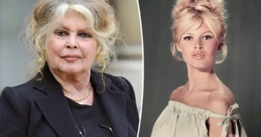 Brigitte Bardot, 91, rushed to hospital with ‘serious’ mystery illness, undergoes surgery: report