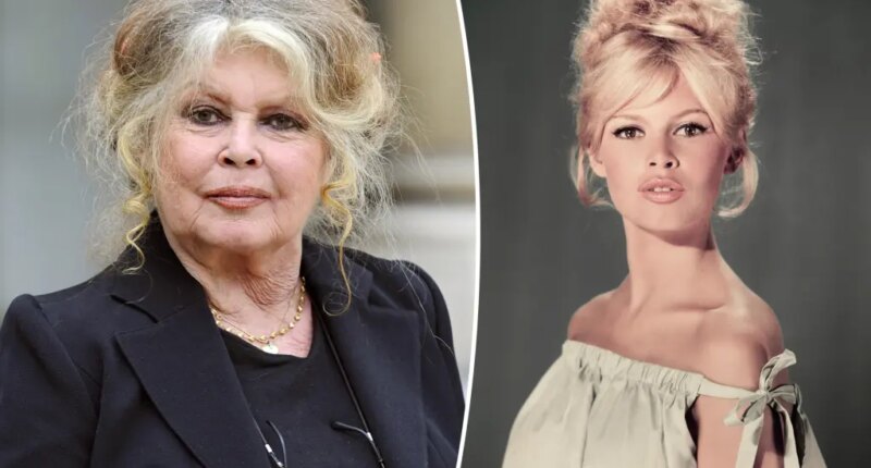 Brigitte Bardot, 91, rushed to hospital with ‘serious’ mystery illness, undergoes surgery: report