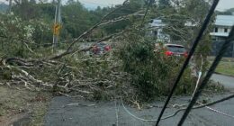 Brisbane wakes to rain, plummeting temperatures as storm clean-up continues