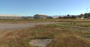 Bristol State Liners propose new baseball stadium