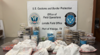 CBP seizes 163 exotic pets at border in smuggling attempt