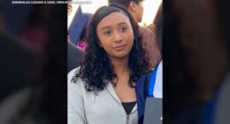 Celeste Rivas Hernandez case: Private investigator Steve Fischer shares new details after teen's body found in singer D4vd's Tesla