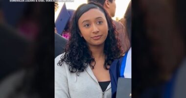 Celeste Rivas Hernandez case: Private investigator Steve Fischer shares new details after teen's body found in singer D4vd's Tesla