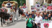 Central Park visitors support horse carriage rides, oppose NYC's ban: poll