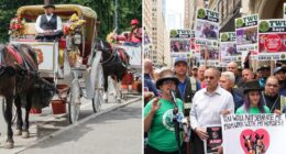 Central Park visitors support horse carriage rides, oppose NYC's ban: poll