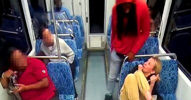Charlotte train stabbing 911 audio released of deadly attack on Iryna Zarutska