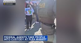 Chicago ICE activity: Federal agents swarm Back of the Yards flea market; demonstrators detained at BP gas station nearby