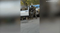 Chicago ICE reports: Feds detain man near Superior and Paulina in West Town; Laugh Factory says manager detained in Lakeview