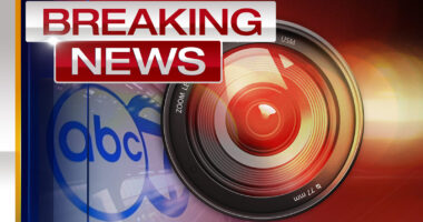 Chicago Little Village activity today: 1 arrested for battery of police officer near 26th, Whipple amid clash with feds | LIVE