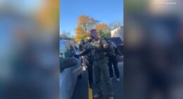 Chicago-area immigration activity: Video shows federal agents break car window, detain driver in Addison; protest held