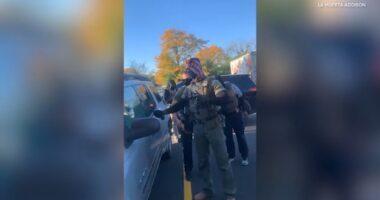 Chicago-area immigration activity: Video shows federal agents break car window, detain driver in Addison; protest held