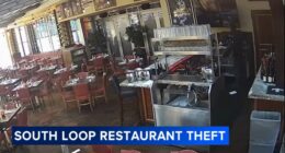 Chicago crime: Suspect steals from IL Culaccino restaurant in South Loop while customers dine nearby, surveillance video shows