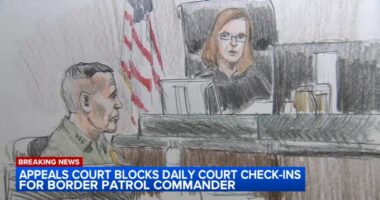 Chicago immigration operations: Appeals court blocks order requiring CBP Chief Greg Bovino to meet with judge every day on