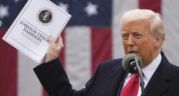 Chinese Economic Coercion, Rare Earth Minerals, and Tariffs: Decouple Now or Never
