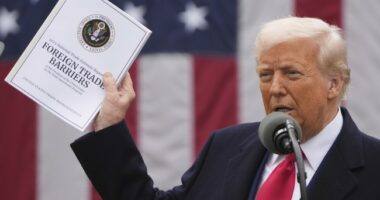 Chinese Economic Coercion, Rare Earth Minerals, and Tariffs: Decouple Now or Never